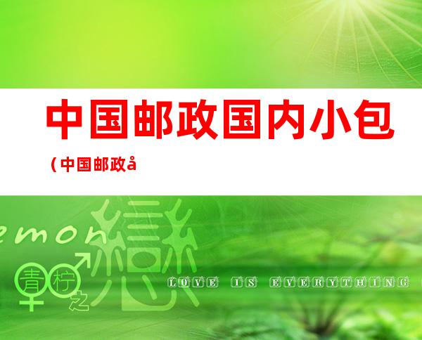 中国邮政国内小包（中国邮政国内小包查询）