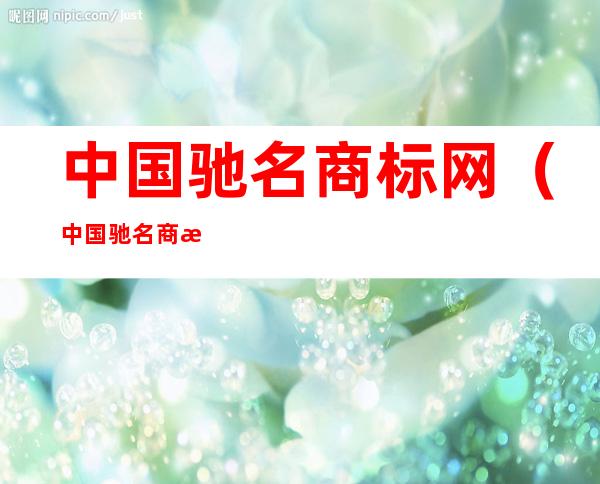中国驰名商标网(中国驰名商标网站)