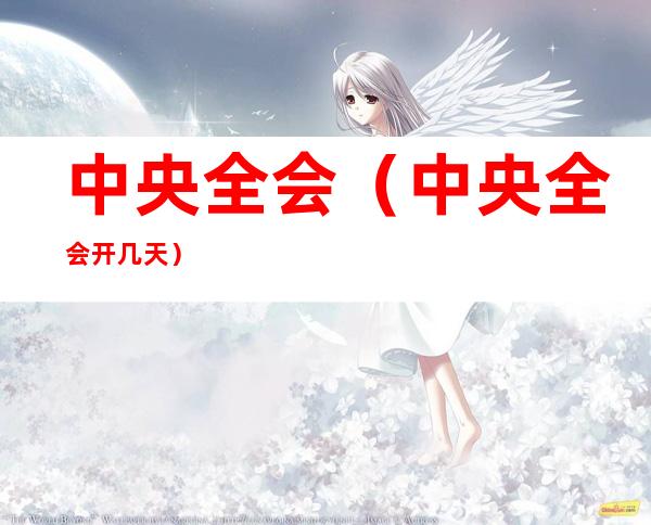 中央全会(中央全会开几天)