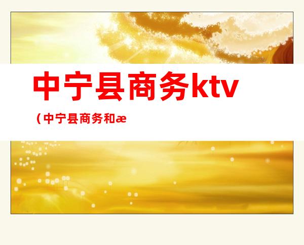 中宁县商务ktv(中宁县商务和投资促进局局长)