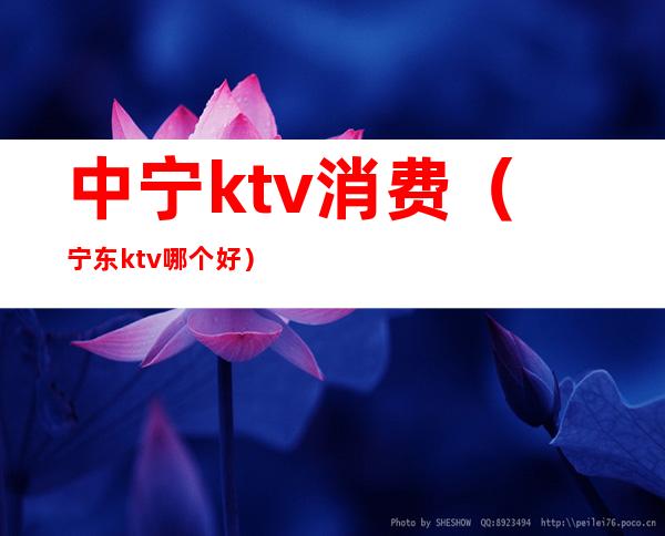 中宁ktv消费(宁东ktv哪个好)