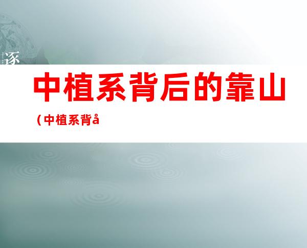 中植系背后的靠山(中植系背后的靠山知乎)