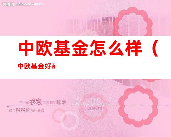 中欧基金怎么样(中欧基金好吗)