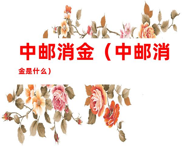 中邮消金（中邮消金是什么）