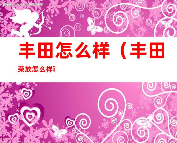丰田怎么样(丰田荣放怎么样)