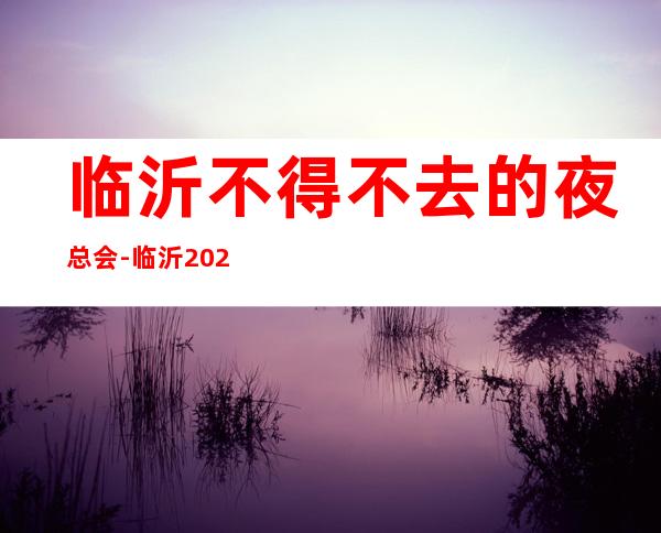 临沂不得不去的夜总会-临沂2022必须要去的KTV – 临沂兰山商务KTV