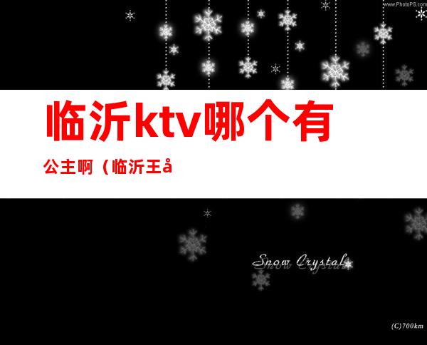 临沂ktv哪个有公主啊（临沂王子公主KTV）