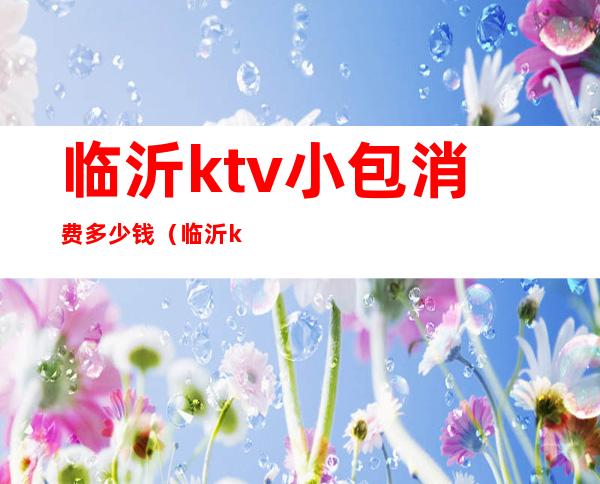 临沂ktv小包消费多少钱(临沂ktv陪唱价格)