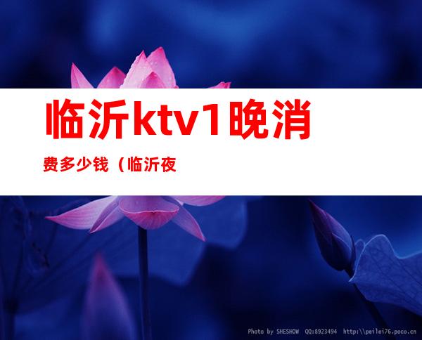 临沂ktv1晚消费多少钱(临沂夜宴ktv消费多少)