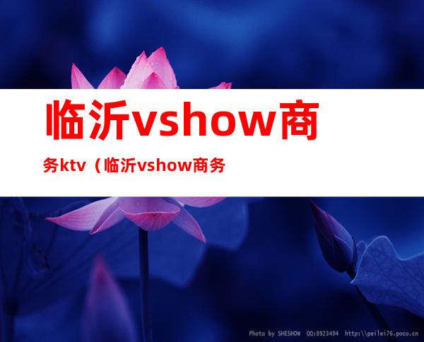 临沂vshow商务ktv(临沂vshow商务会所)