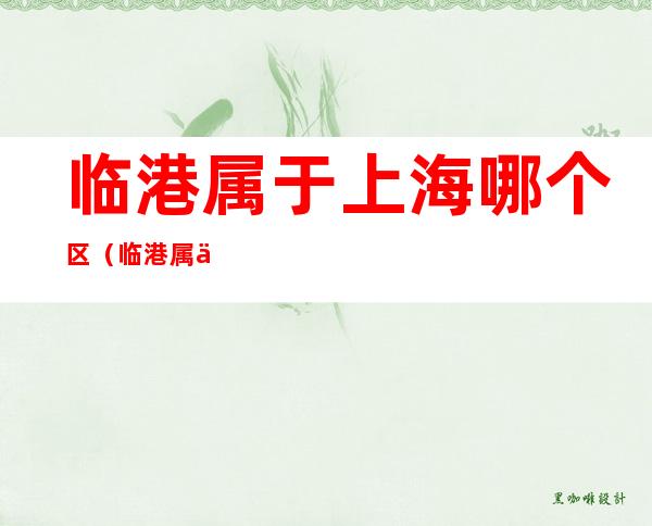 临港属于上海哪个区(临港属于上海哪个区哪个镇)