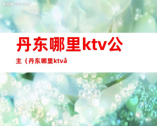 丹东哪里ktv公主(丹东哪里ktv公主最多)
