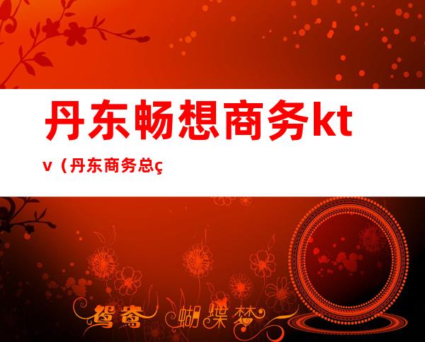 丹东畅想商务ktv(丹东商务总监)