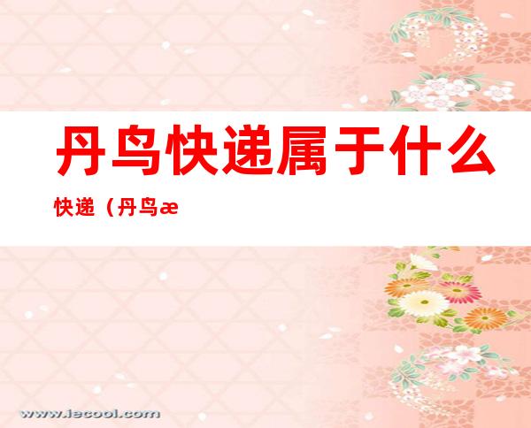 丹鸟快递属于什么快递（丹鸟是什么快递?）