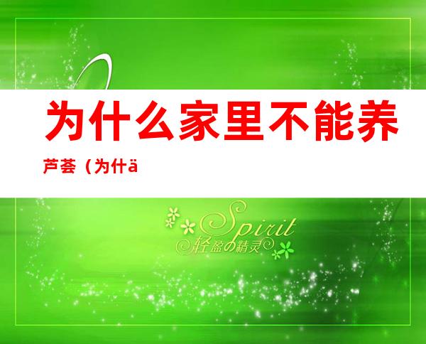 为什么家里不能养芦荟(为什么家里不能养芦荟植物)