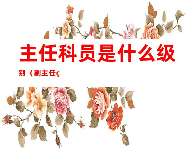 主任科员是什么级别(副主任科员是什么级别)