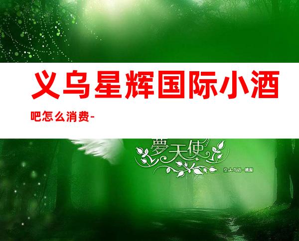 义乌星辉国际小酒吧怎么消费-好玩不贵星辉国际酒吧。