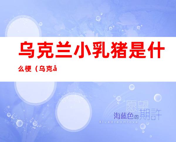 乌克兰小乳猪是什么梗(乌克兰的小乳猪什么梗)