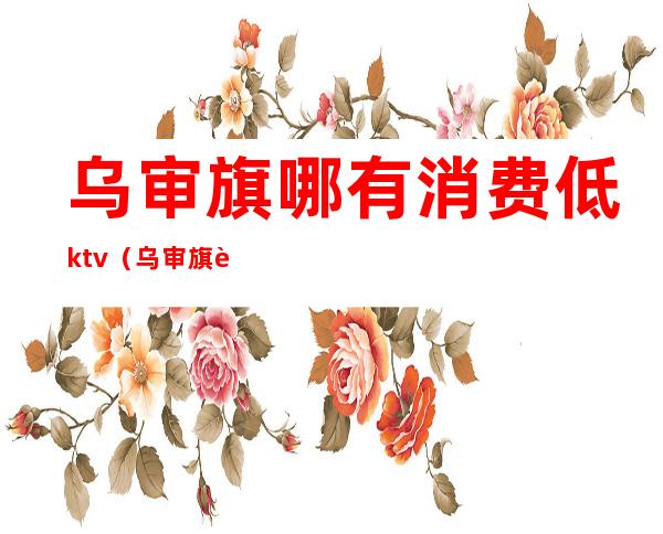 乌审旗哪有消费低ktv(乌审旗购物的地方)