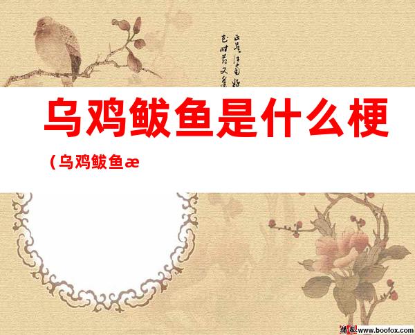 乌鸡鲅鱼是什么梗（乌鸡鲅鱼是什么梗粉丝）