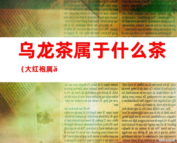 乌龙茶属于什么茶(大红袍属于什么茶)