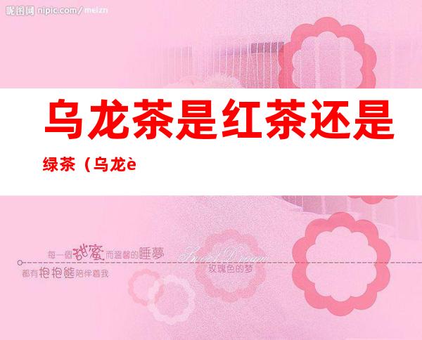 乌龙茶是红茶还是绿茶(乌龙茶是红茶还是绿茶好)