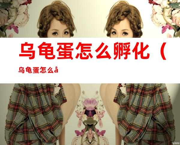 乌龟蛋怎么孵化(乌龟蛋怎么孵化小乌龟)
