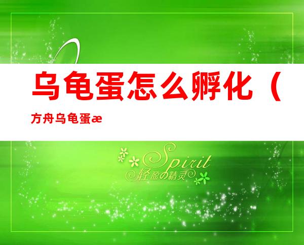 乌龟蛋怎么孵化（方舟乌龟蛋怎么孵化）