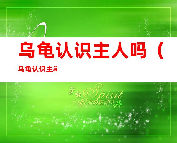 乌龟认识主人吗(乌龟认识主人吗视频)