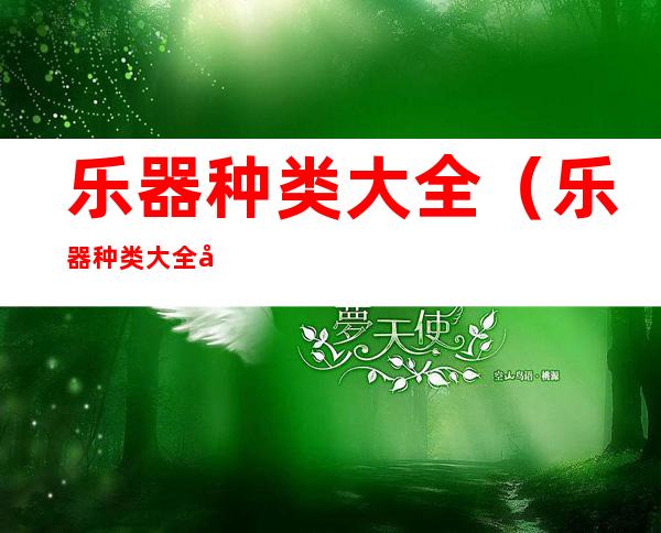 乐器种类大全(乐器种类大全 名字)