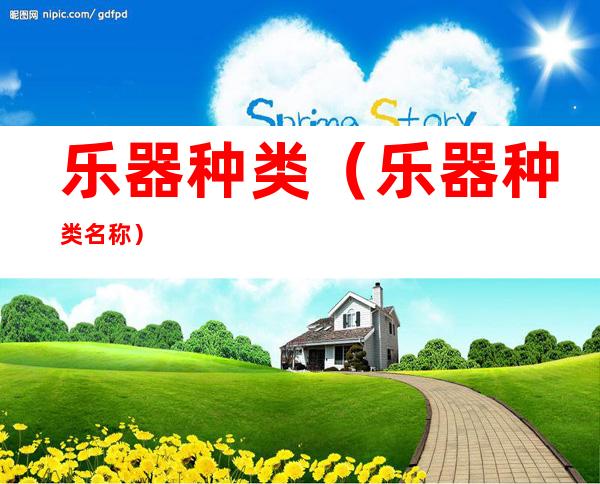 乐器种类(乐器种类名称)