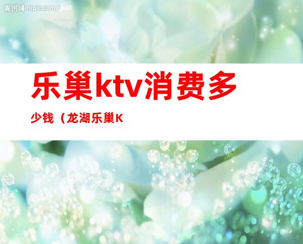 乐巢ktv消费多少钱(龙湖乐巢KTV怎么样)