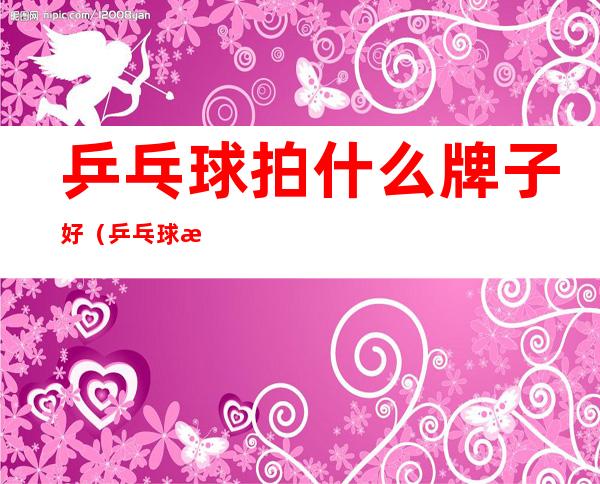 乒乓球拍什么牌子好(乒乓球拍什么牌子好知乎)