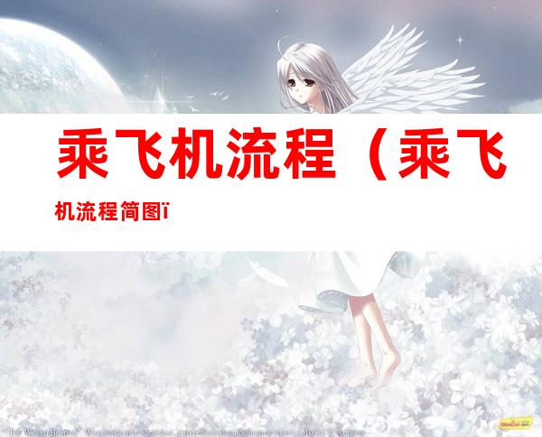 乘飞机流程(乘飞机流程简图)