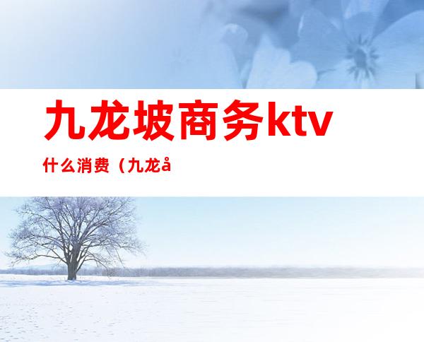 九龙坡商务ktv什么消费（九龙坡商务ktv什么消费高）