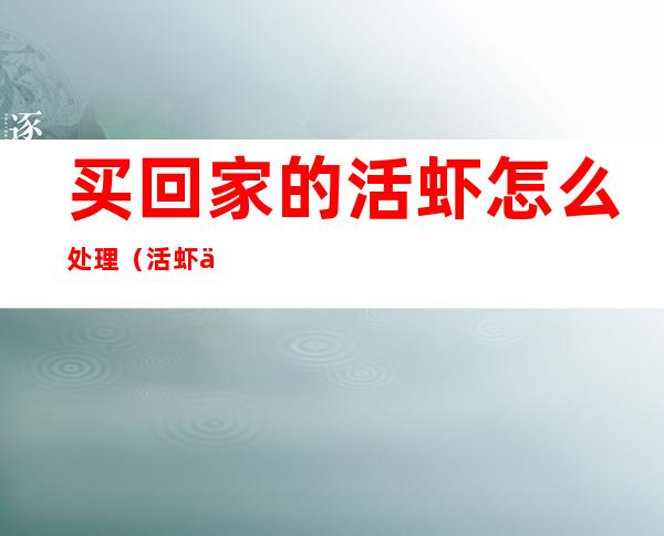 买回家的活虾怎么处理(活虾买回家怎么放)
