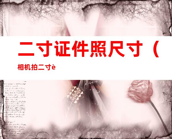 二寸证件照尺寸(相机拍二寸证件照尺寸)