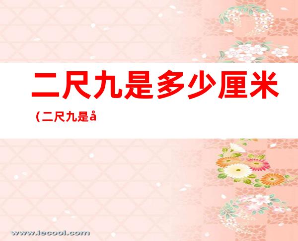 二尺九是多少厘米（二尺九是多少厘米长）