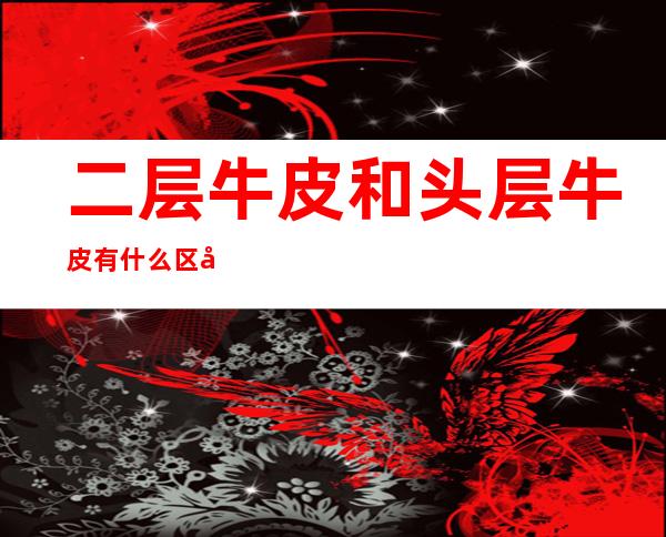 二层牛皮和头层牛皮有什么区别(皮鞋二层牛皮和头层牛皮有什么区别)