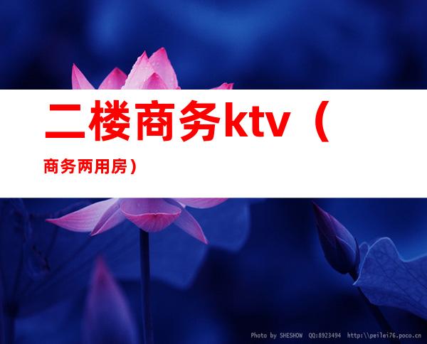 二楼商务ktv(商务两用房)