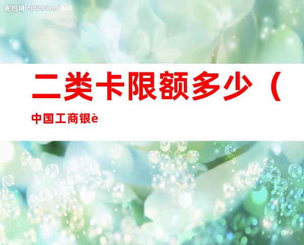 二类卡限额多少(中国工商银行二类卡限额多少)