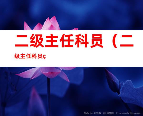 二级主任科员(二级主任科员相当于什么职务)