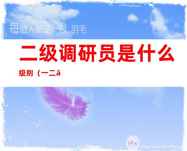 二级调研员是什么级别（一二三四级调研员是什么级别）