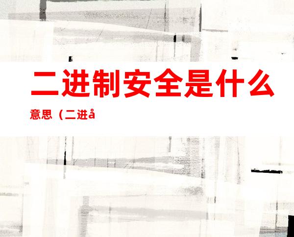 二进制安全是什么意思(二进制安全研究)