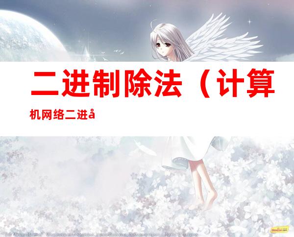 二进制除法(计算机网络二进制除法)