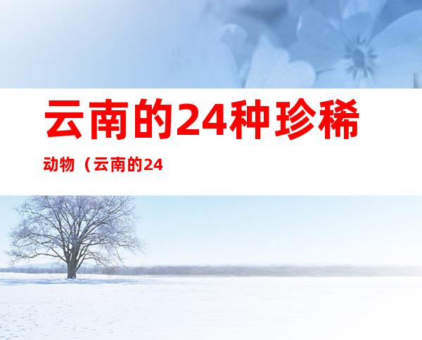 云南的24种珍稀动物（云南的24种珍稀动物手抄报）