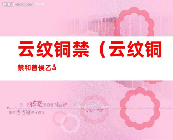 云纹铜禁（云纹铜禁和曾侯乙尊盘）