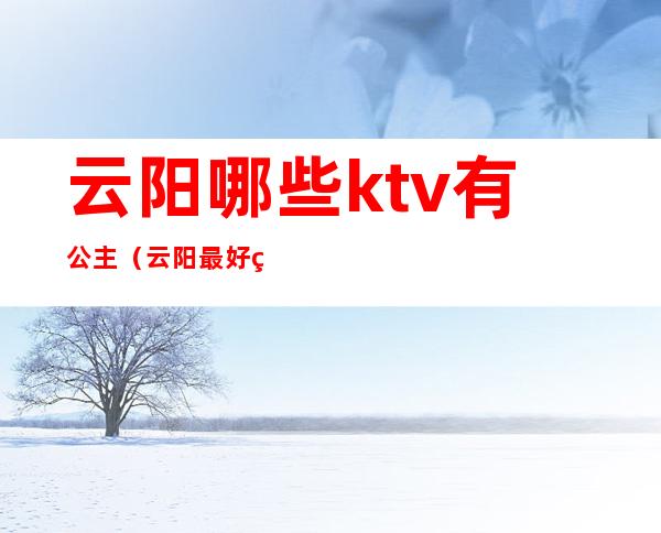 云阳哪些ktv有公主(云阳最好的KTV)