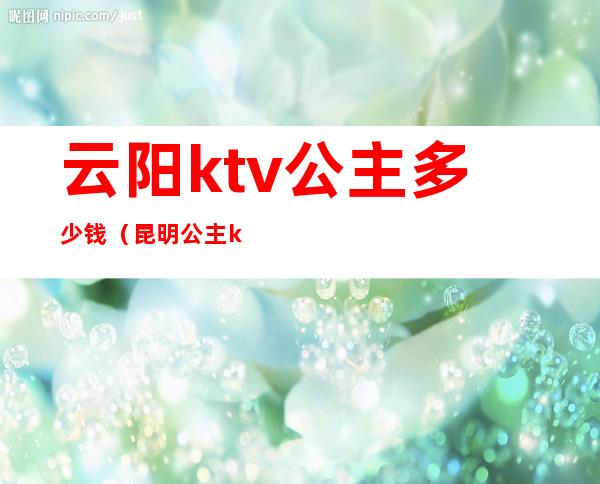 云阳ktv公主多少钱(昆明公主ktv)