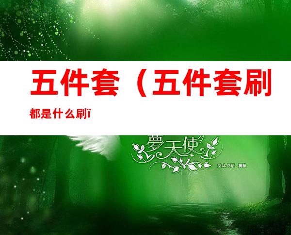 五件套(五件套刷都是什么刷)